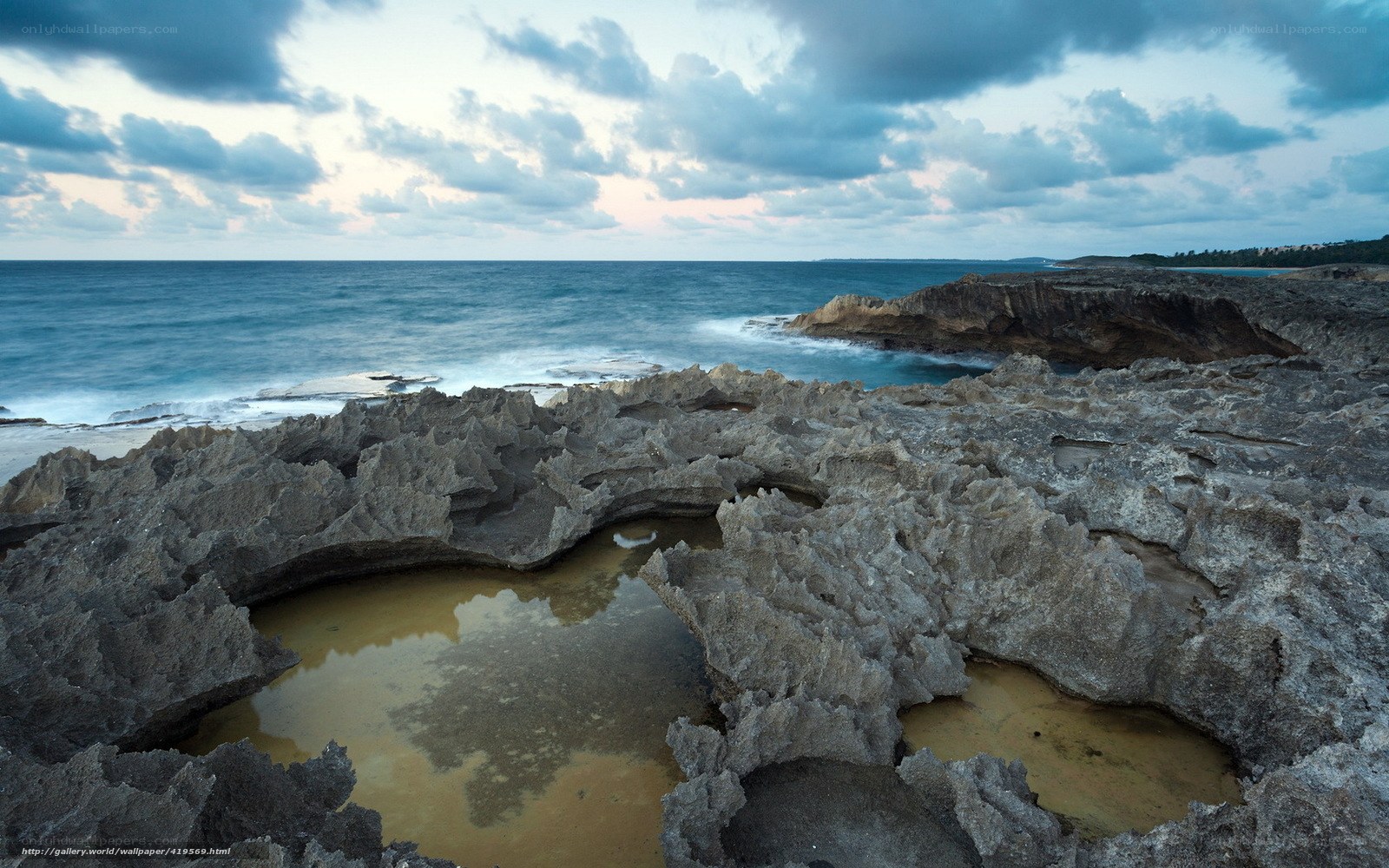Rocky coastal tide pools