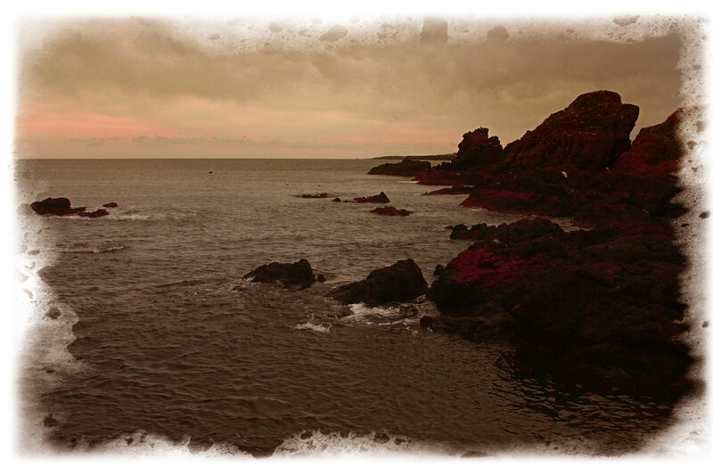 Rocky Coastline at Dusk — Brown