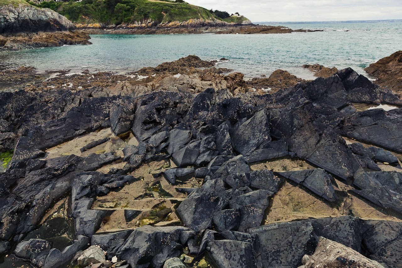 rocky coastline at low tide