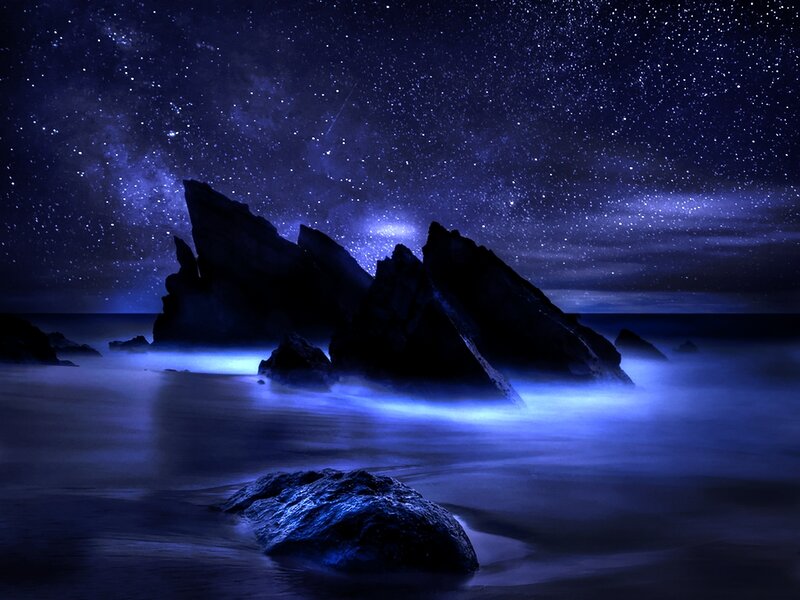 Rocky Coastline at Night — Blue, Serene