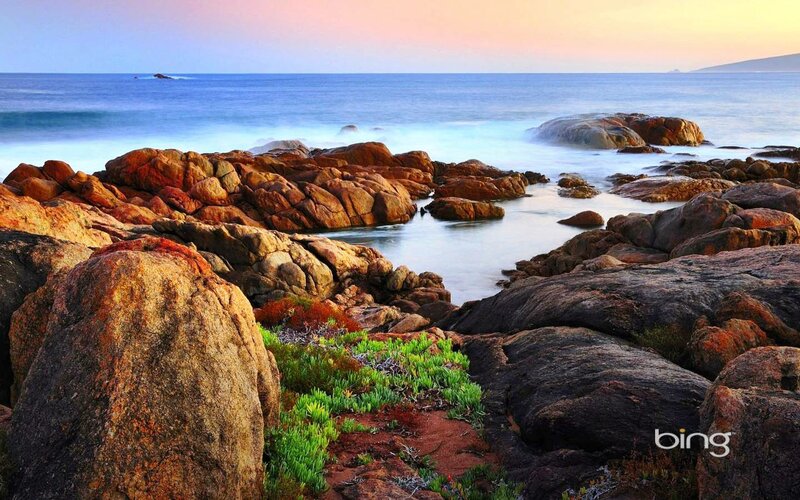 Rocky Coastline at Sunset — Blue, Serene, Photograph, Ocean, Rocks, Plants