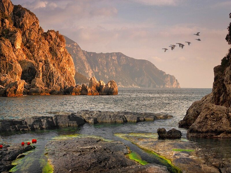 Rocky Coastline at Sunset — Brown, Serene, Photograph, Birds
