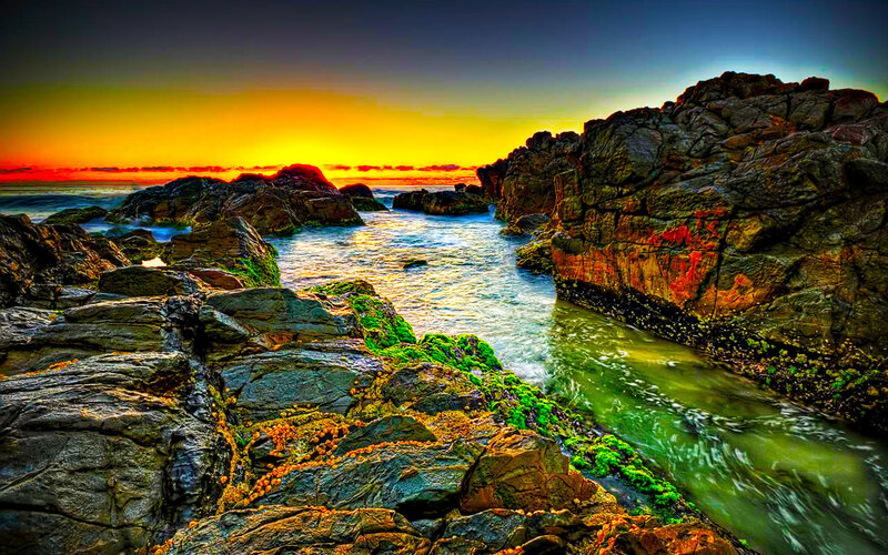 Rocky Coastline at Sunset — Orange, Dramatic, Photograph, Rocks, Ocean, Sky, Moss