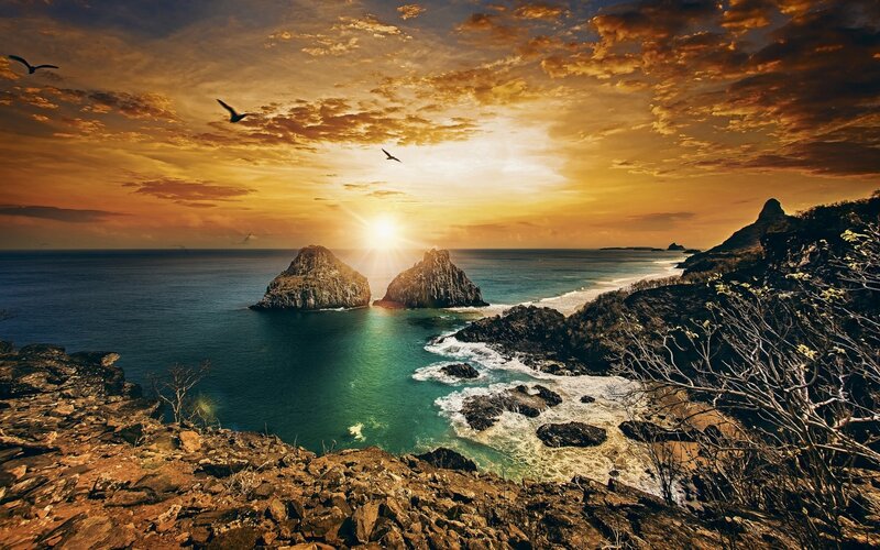 Rocky Coastline at Sunset — Orange, Dramatic, Photograph, Seagulls