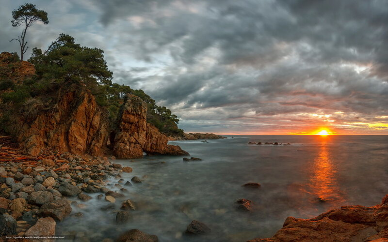 Rocky Coastline at Sunset — Orange, Dramatic, Photograph, Trees, Rocks