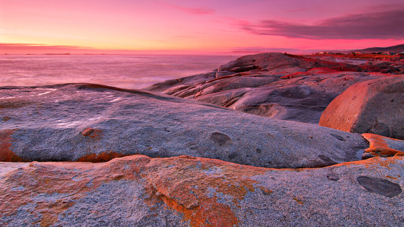 Rocky Coastline at Sunset — Pink, Serene