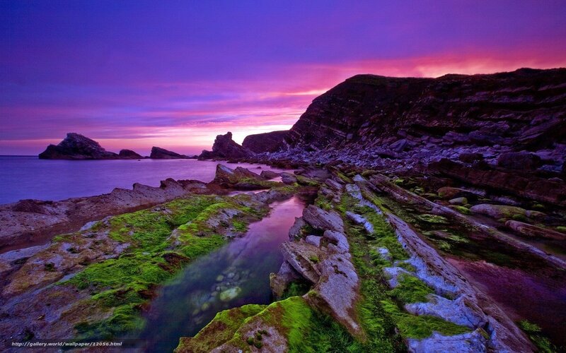 Rocky Coastline at Sunset — Purple, Dramatic, Photograph, Rocks, Sea, Sky, Moss