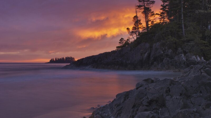 Rocky Coastline at Sunset — Purple, Serene, Photograph, Trees