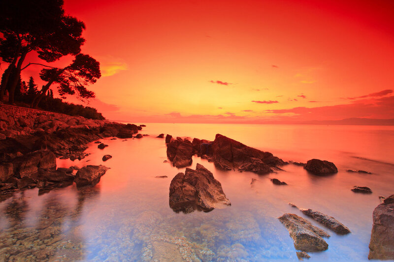 Rocky Coastline at Sunset — Red, Dramatic, Photograph, Rocks, Trees
