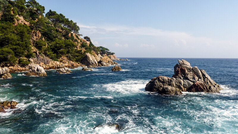 Rocky Coastline — Blue, Serene, Afternoon, Photograph, Ocean, Trees