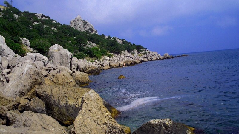 Rocky Coastline — Blue, Serene, Afternoon, Photograph, Rocks, Sea, Trees