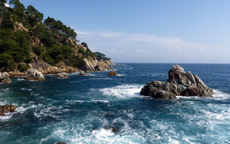 Rocky Coastline — Blue, Serene, Afternoon, Photograph, Rocks, Trees