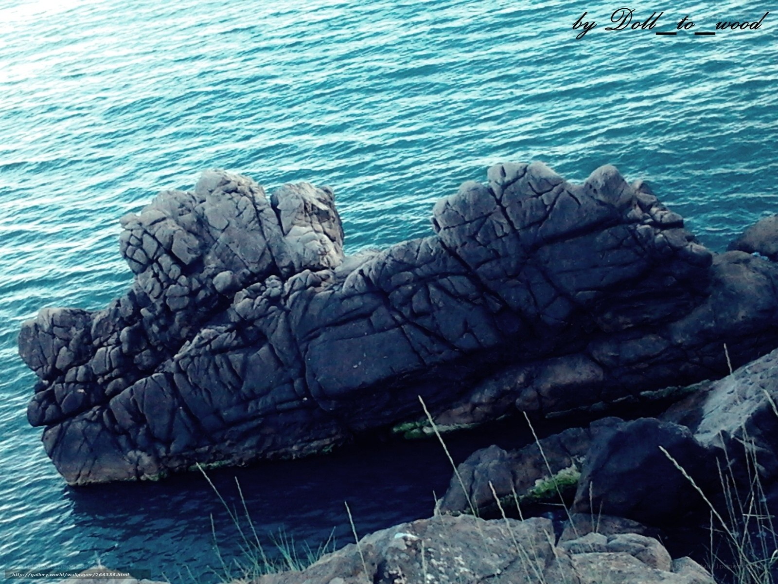 rocky coastline by the sea