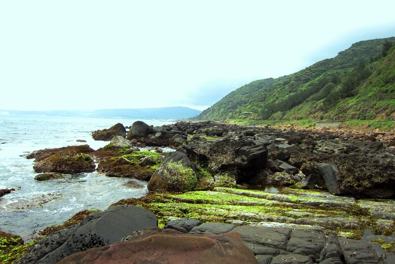 Rocky Coastline — Green