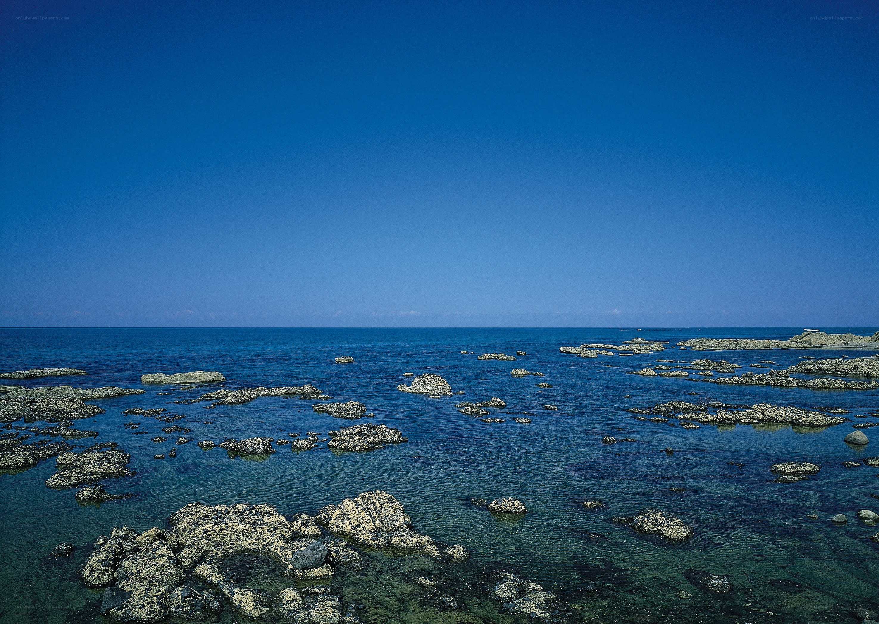 Rocky coastline under clear sky
