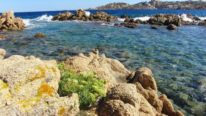 rocky coastline with clear water