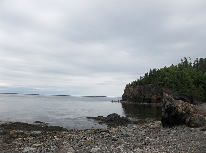 Rocky Coastline with Forest — Gray