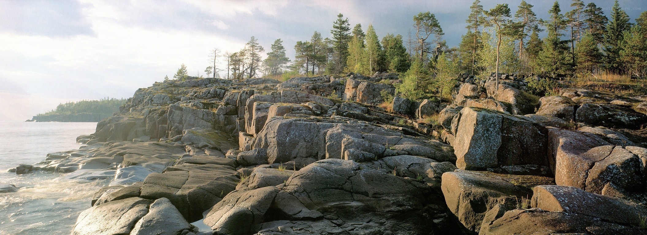 Rocky coastline with forest