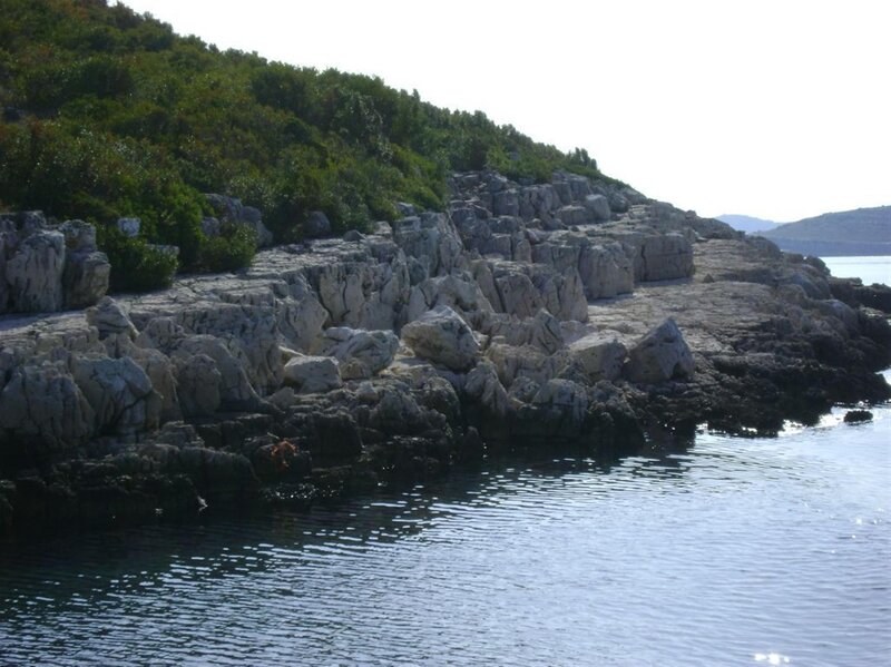 rocky coastline with green hill