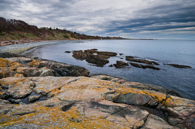 Rocky Coastline with Lichen