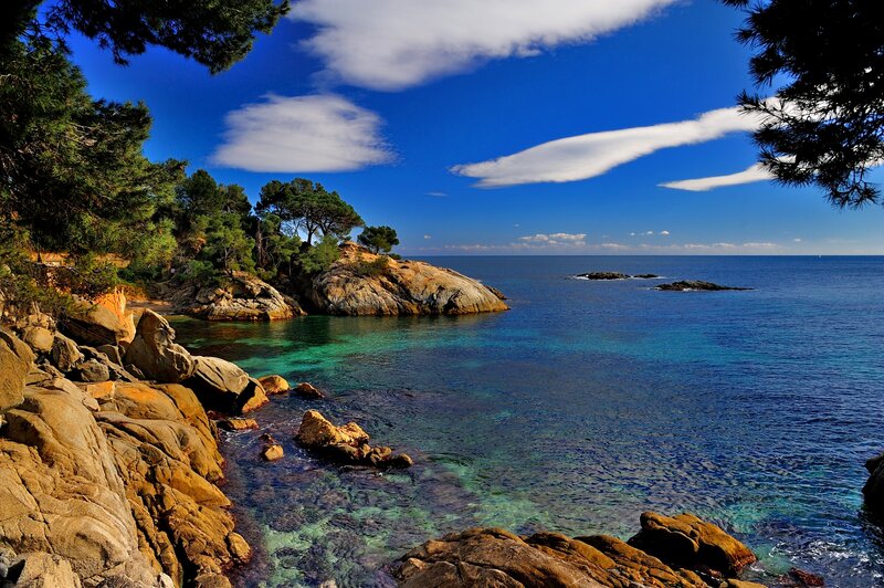 Rocky Coastline with Sea — Blue, Serene, Afternoon, Photograph, Trees