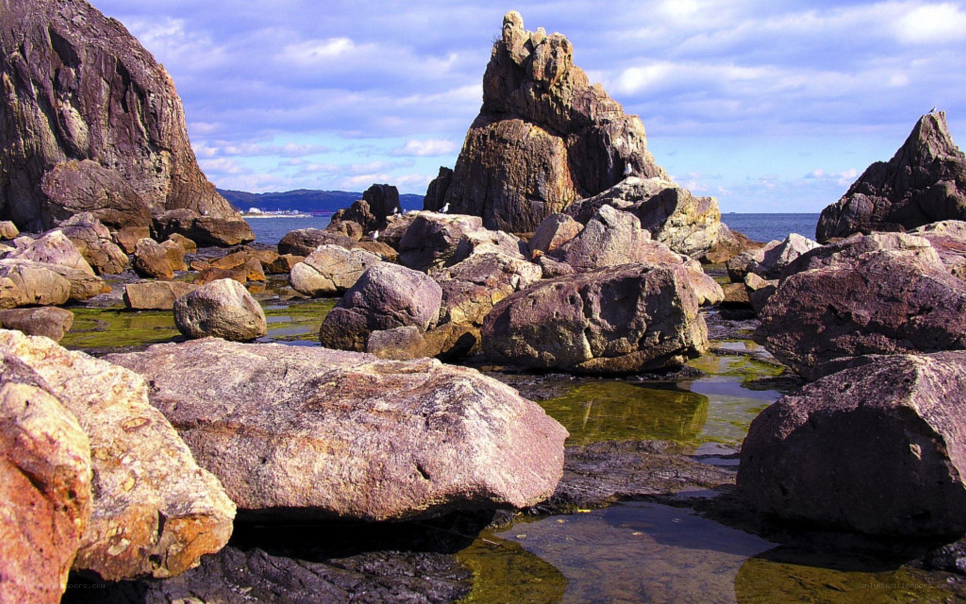 Rocky coastline with sea in background