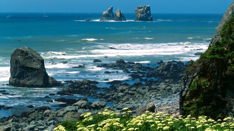 Rocky Coastline with Sea Stacks — Blue, Serene, Afternoon, Photograph