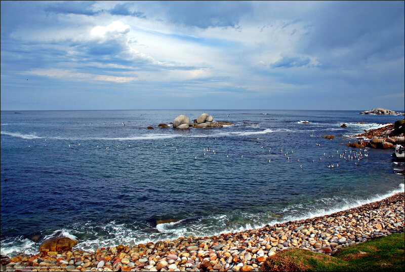 Rocky coastline with seabirds