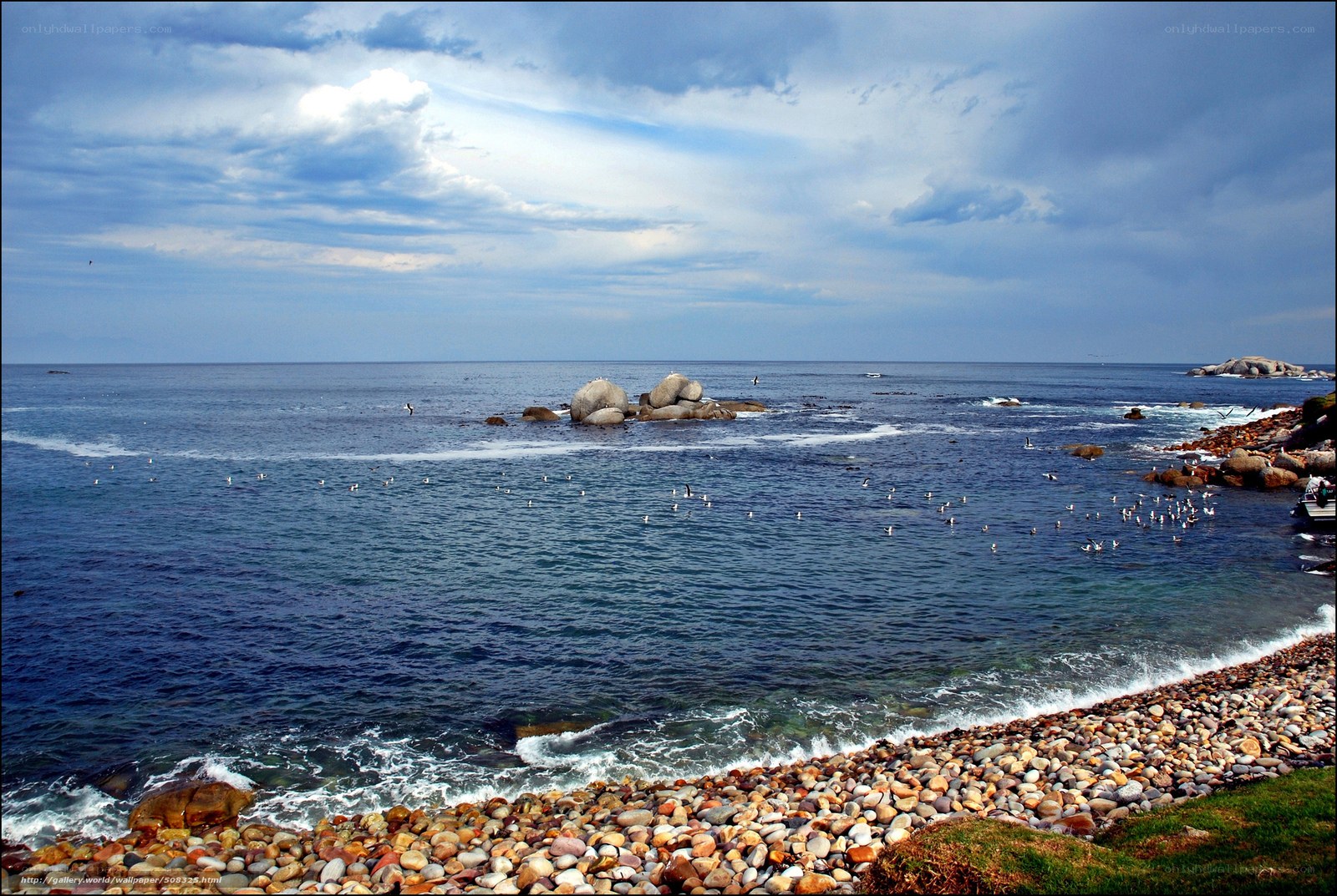 Rocky coastline with seabirds