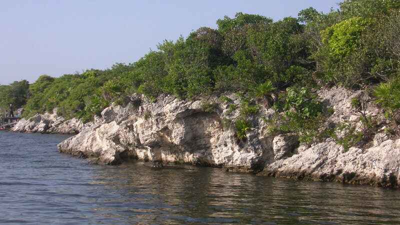 Rocky Coastline with Trees — Green