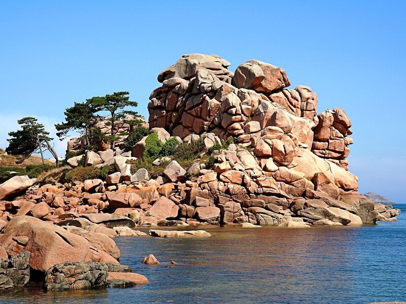 Rocky Coastline with Trees