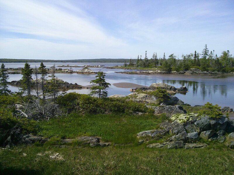 Rocky Coastline with Water — Green