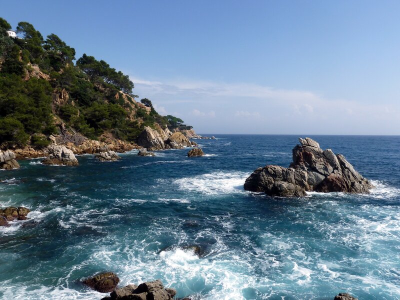 Rocky Coastline with Waves — Blue, Serene, Afternoon, Photograph, Trees, Rocks