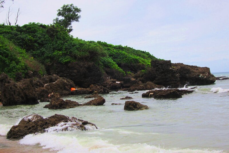 Rocky Coastline with Waves — Green