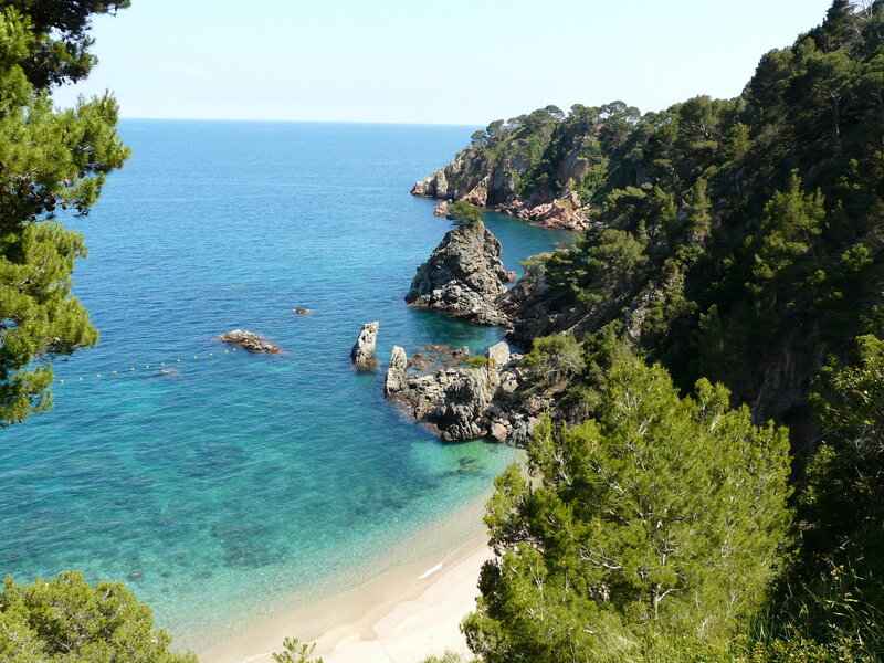Rocky Cove with Beach — Blue