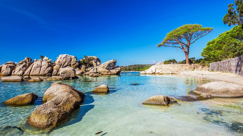 Rocky Cove with Clear Water — Blue, Serene, Afternoon, Photograph, Tree