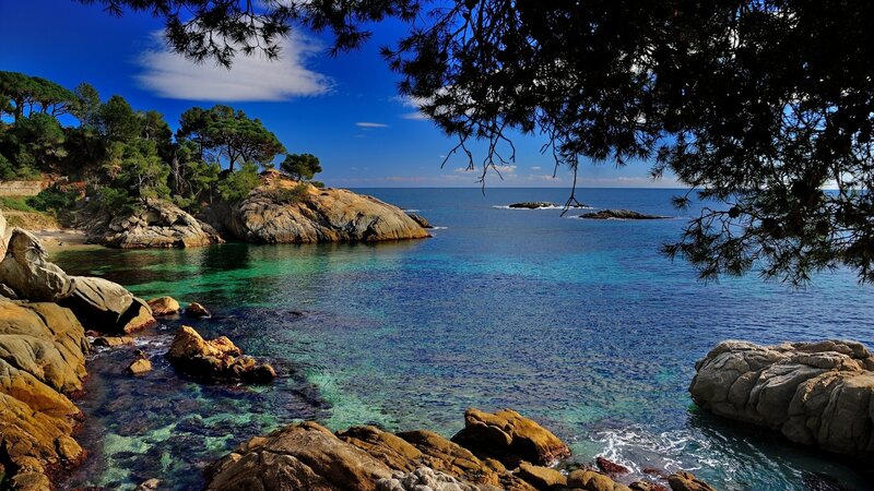 Rocky Cove with Clear Water — Blue, Serene, Afternoon, Photograph, Trees