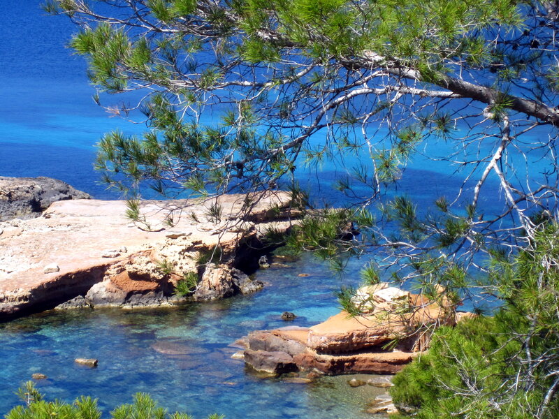 Rocky Cove with Pine Tree