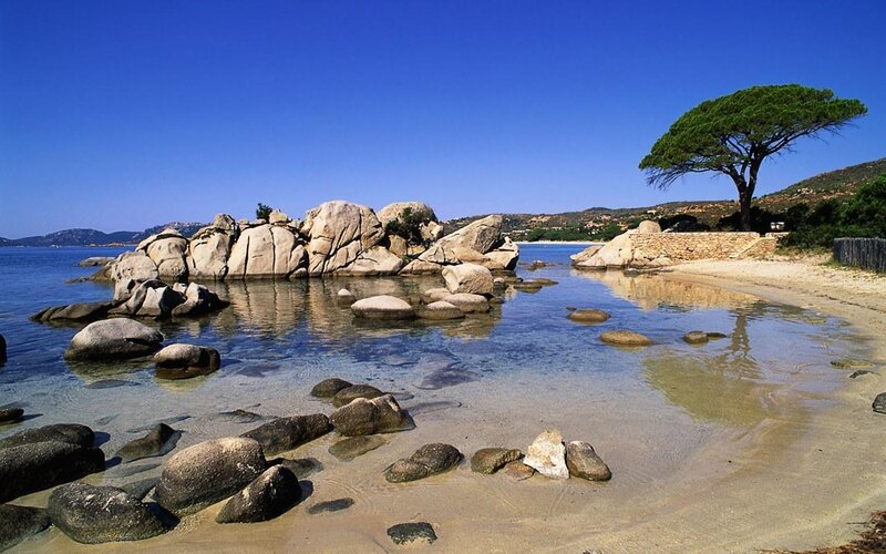 Rocky Cove with Tree