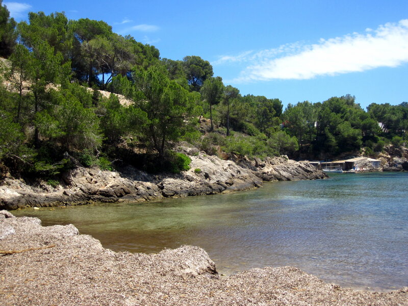 Rocky Cove with Trees