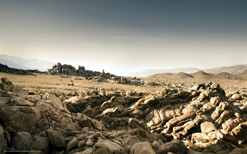 Rocky Desert Landscape — Brown, Arid