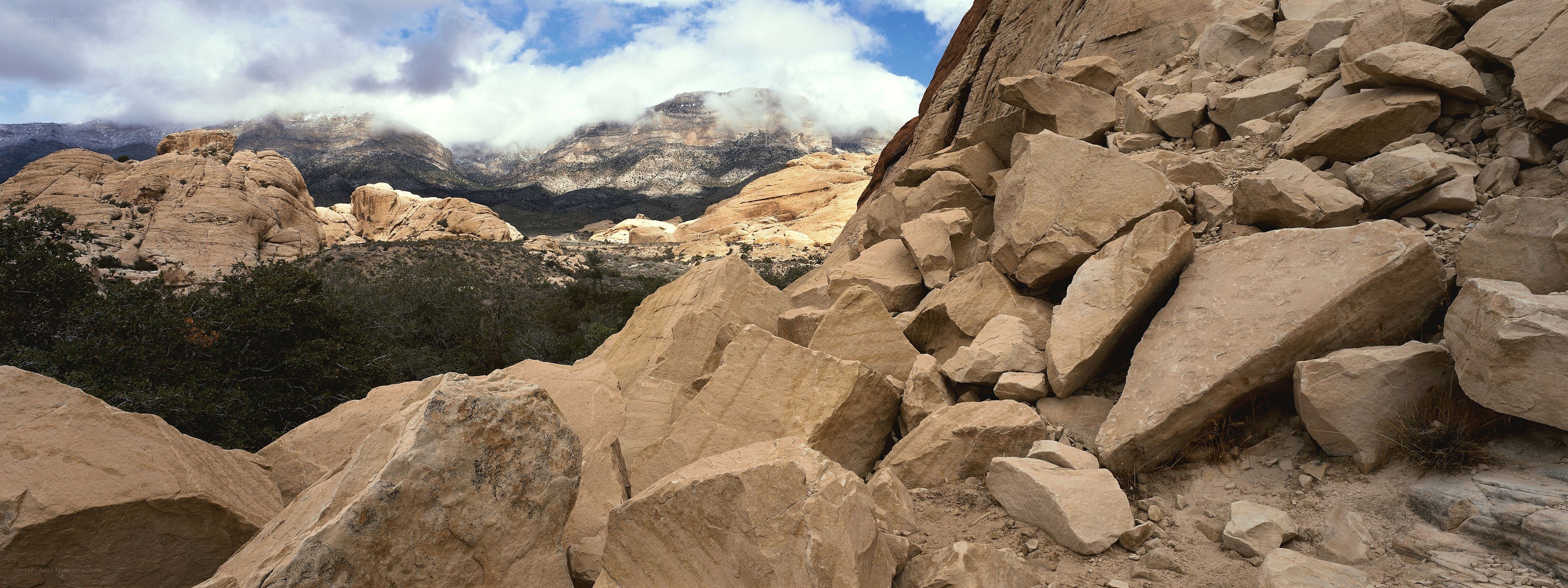 rocky desert landscape