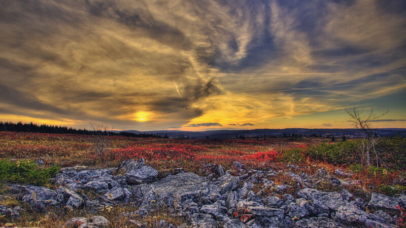 Rocky Field at Sunset