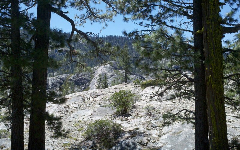 Rocky Forest Landscape — Green