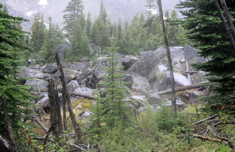 Rocky Forest Terrain