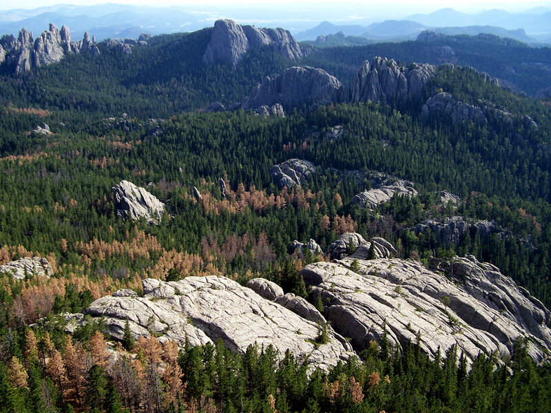 rocky forested mountainscape