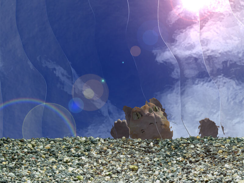 Rocky Formations on Pebble Beach