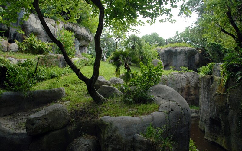 rocky garden with lush greenery