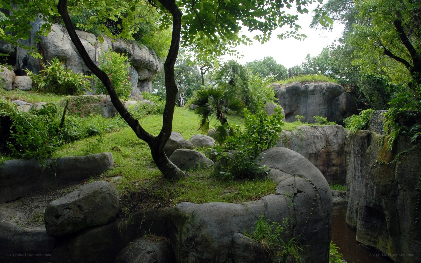 rocky garden with lush greenery