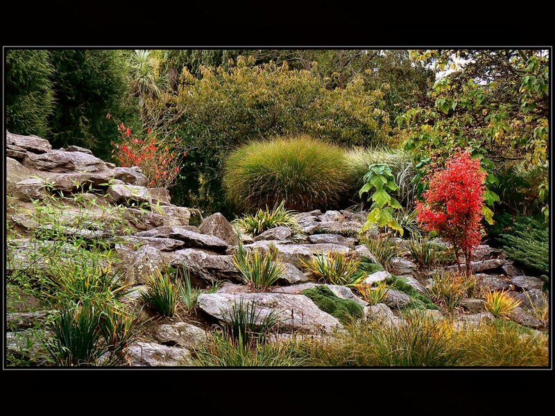 Rocky Garden with Red Tree